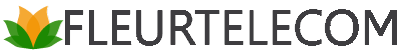 FleurTelecom Speed Test